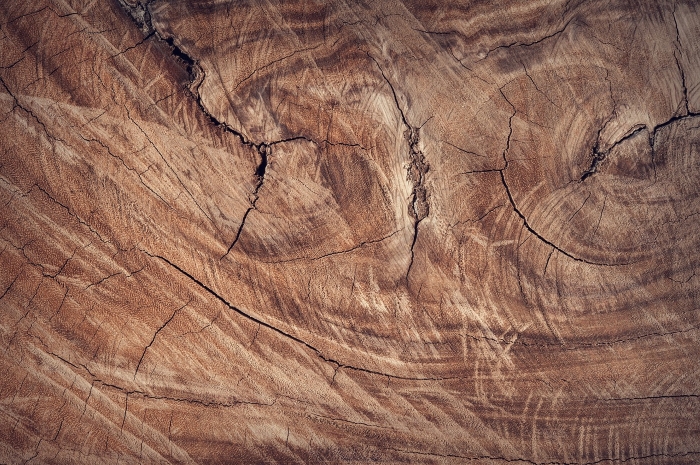 Defecte de structura ale lemnului